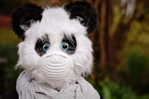 Thunderbolt Kaszinó Támogatás